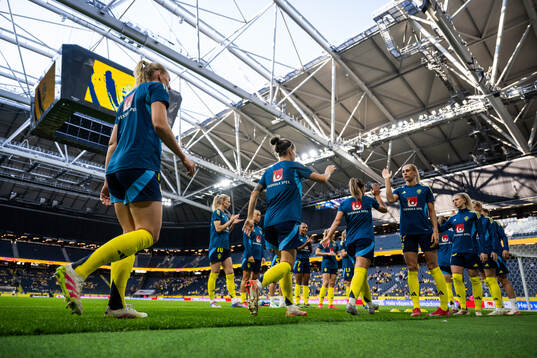 Players of Sweden