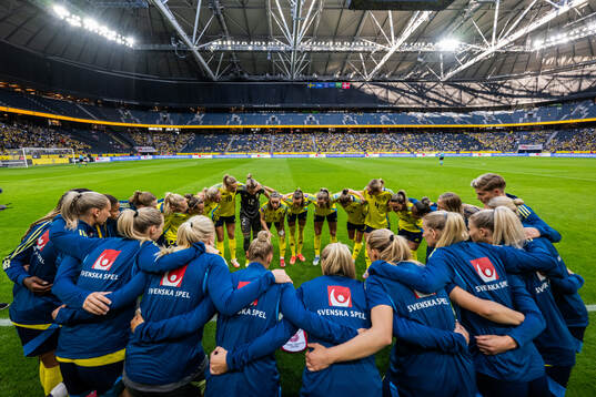 players of Sweden gather