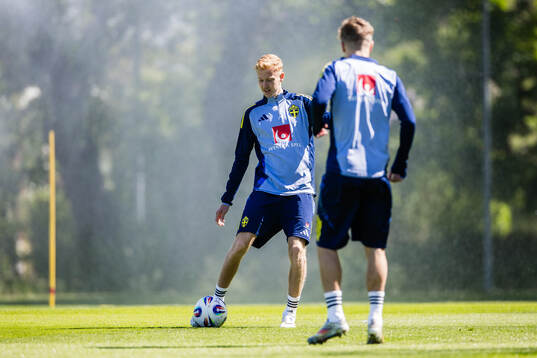Hugo Larsson of the Swedish men's national football team