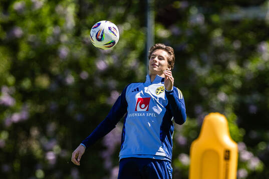 John Mellberg of the Swedish men's national football team