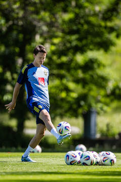 Hjalmar Ekdal of the Swedish men's national football team