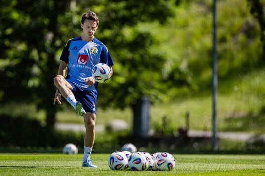Hjalmar Ekdal of the Swedish men's national football team