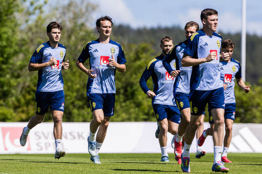 Besfort Zeneli and Hjalmar Ekdal of the Swedish men's