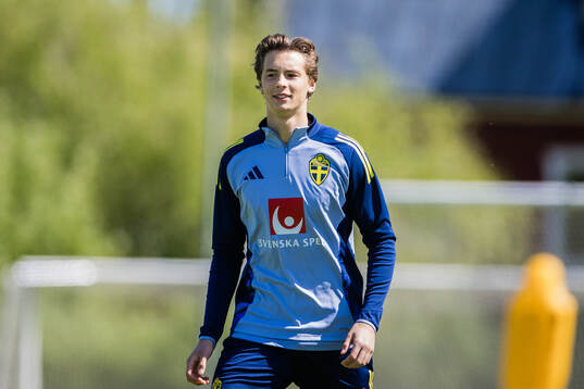 John Mellberg of the Swedish men's national football team