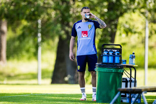 Jordan Larsson of the Swedish men's national football team