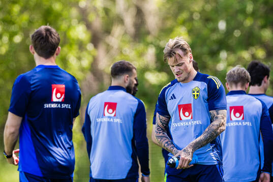 Victor Eriksson of the Swedish men's national football team