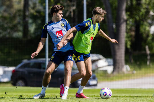 Besfort Zeneli and Anton Saletros of the Swedish men's