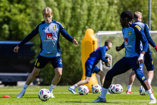 Daniel Svensson of the Swedish men's national football team