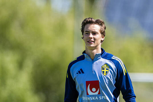 John Mellberg of the Swedish men's national football team
