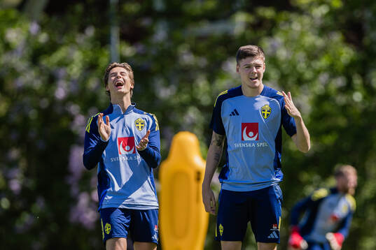 John Mellberg and Emil Holm of the Swedish men's national