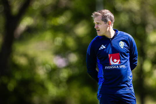 Jonas Werner, doctor of the Swedish men's national football