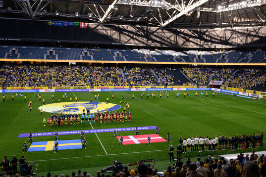 Players of Sweden and Denmark