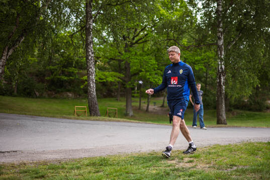 Head coach Jon Dahl Tomasson of the Swedish national