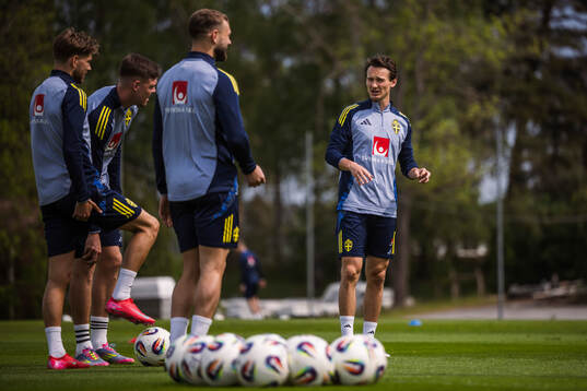 Hjalmar Ekdal of the Swedish national football team at a
