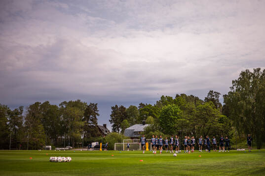 The players of the Swedish national football team at a