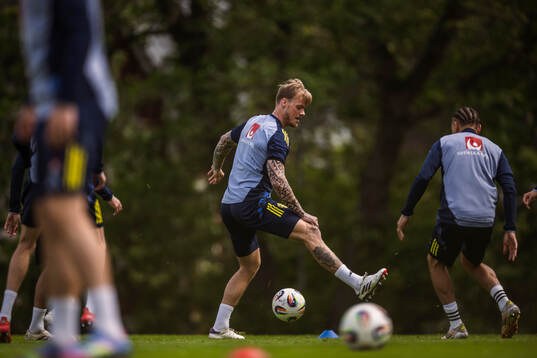 Victor Eriksson of the Swedish national football team at a