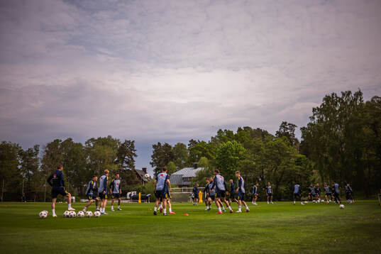 The players of the Swedish national football team at a