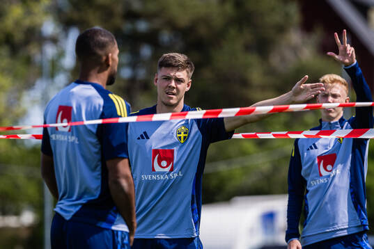 Emil Holm of the Swedish men's national football team
