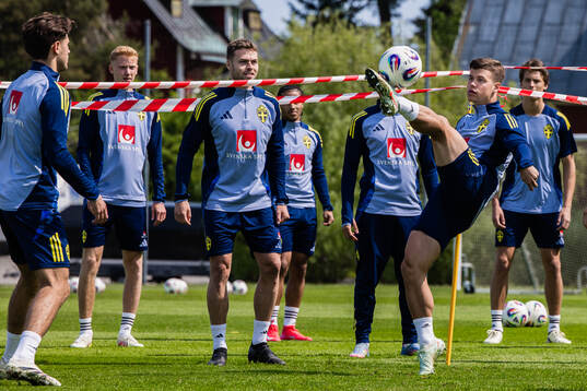Gabriel Gudmundsson and Samuel Dahl of the Swedish men's
