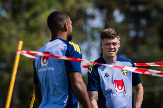 Emil Holm of the Swedish men's national football team