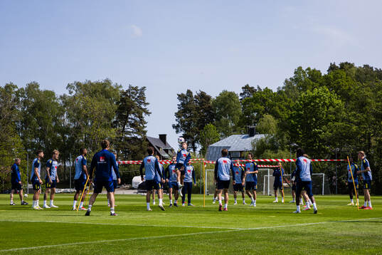 Players of the Swedish men's national football team
