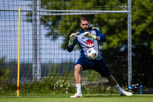 Goalkeeper Kristoffer Nordfeldt of the Swedish men's