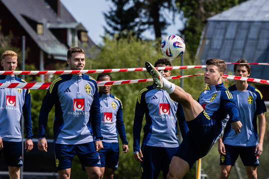 Samuel Dahl of the Swedish men's national football team