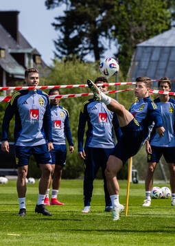 Samuel Dahl of the Swedish men's national football team