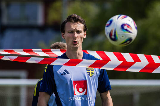 Hjalmar Ekdal of the Swedish men's national football team