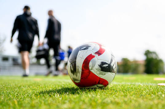 En fotboll på gräsmattan