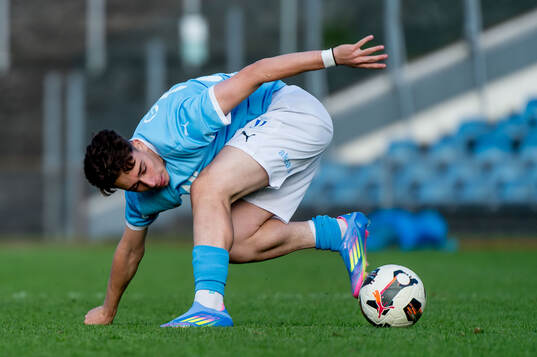 Malmö FFs Daniel Dragicevic