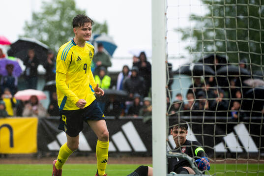 Sveriges Åke Andersson jublar