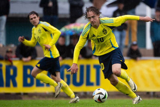 Sveriges Anton Höög