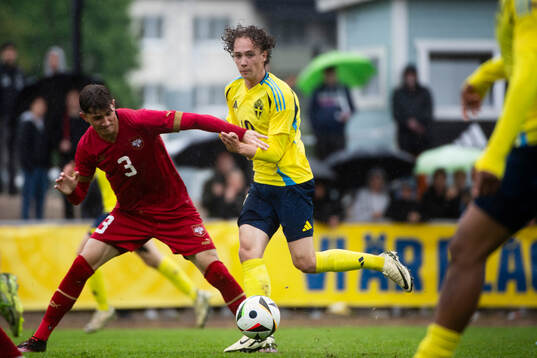 Sveriges Anton Höög