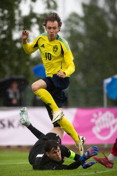 Sveriges Anton Höög