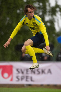 Sveriges Anton Höög
