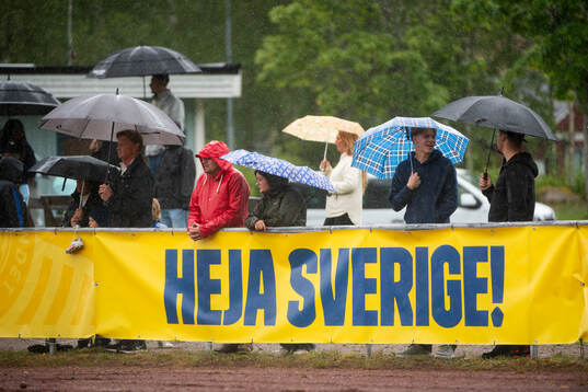 Sveriges supportar