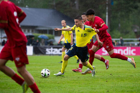 Sveriges Melvin Vucenovic Persson