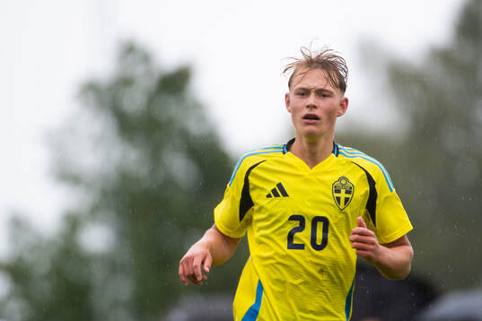 Sveriges Alvin Nordin