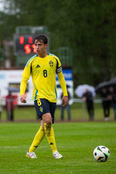 Sveriges Kenan Busuladzic