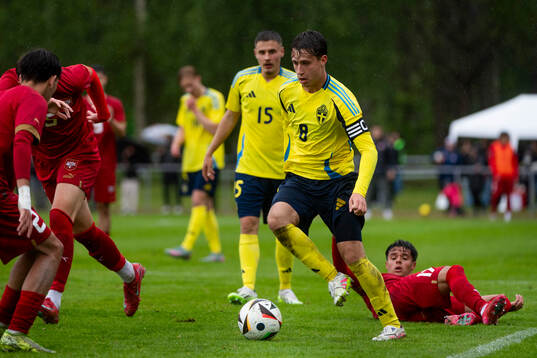 Sveriges Kenan Busuladzic