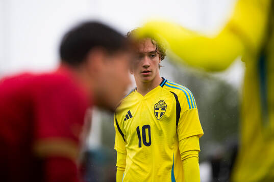 Sveriges Anton Höög