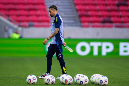 Jordan Larsson of Sweden