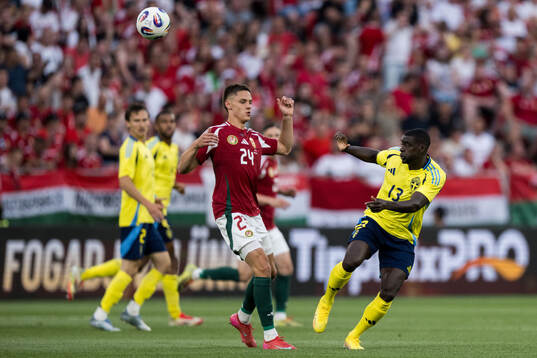 Bence Dárdai of Hungary and Ken Sema of Sweden