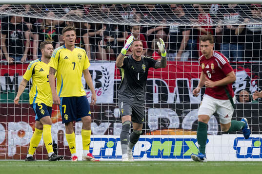 Goalkeeper Robin Olsen of Sweden
