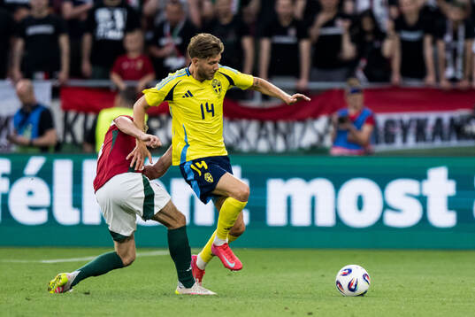 Andras Schäfer of Hungary and Anton Salétros of Sweden