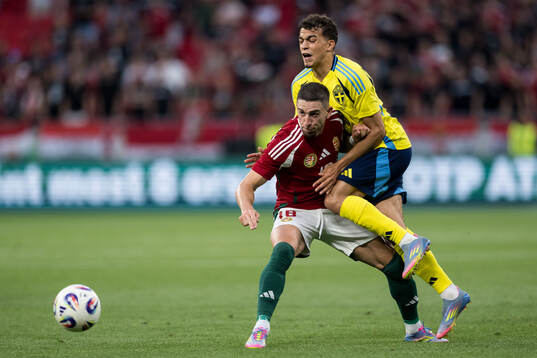 Zsolt Nagy of Hungary and Yasin Ayari of Sweden