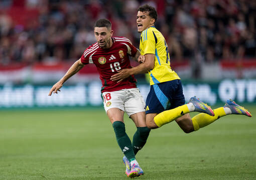 Zsolt Nagy of Hungary and Yasin Ayari of Sweden