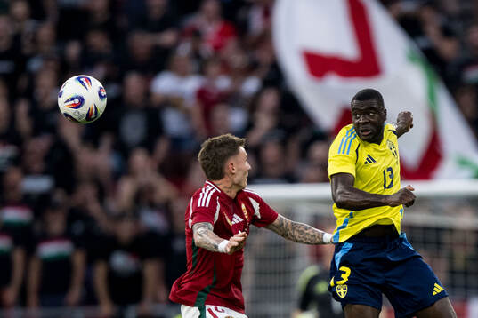 Bendeguz Bolla of Hungary and Ken Sema of Sweden