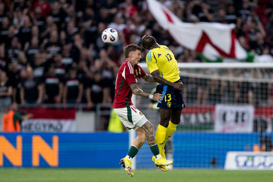 Bendeguz Bolla of Hungary and Ken Sema of Sweden
